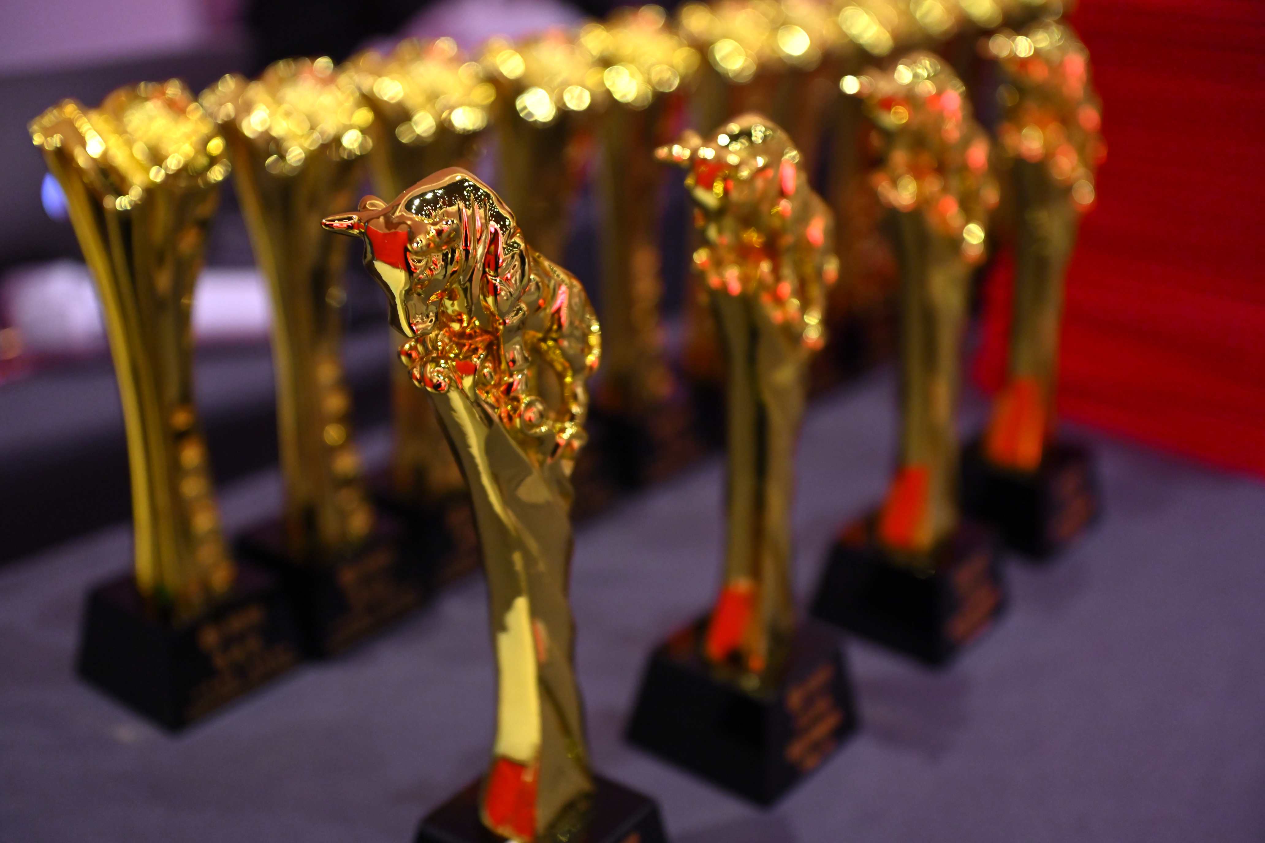 2-2奖杯_副本.jpg 2-2奖杯_副本.jpg